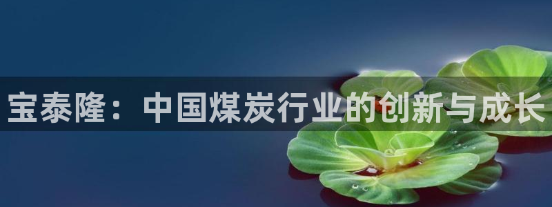 球盟会官网app下载：宝泰隆：中国煤炭行业的创新与成长