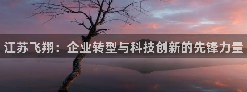 球盟会：江苏飞翔：企业转型与科技创新的先锋力量