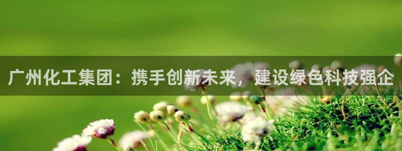 球盟会有没有黑单的活动：广州化工集团：携手创新未来，建设绿色