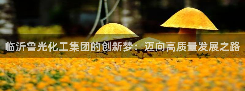球盟会进不去吗：临沂鲁光化工集团的创新梦：迈向高质量发展之路