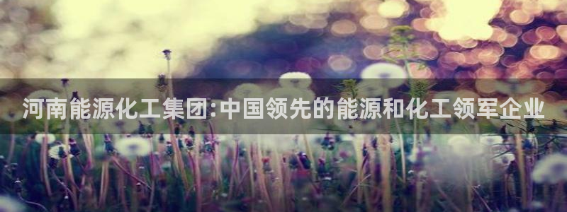 球盟会黑钱：河南能源化工集团:中国领先的能源和化工领军企业