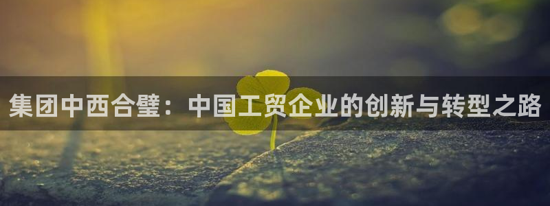 球盟会电子好下吗：集团中西合璧：中国工贸企业的创新与转型之路