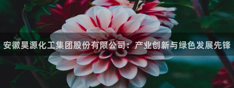 球盟会邮箱：安徽昊源化工集团股份有限公司：产业创新与绿色发展