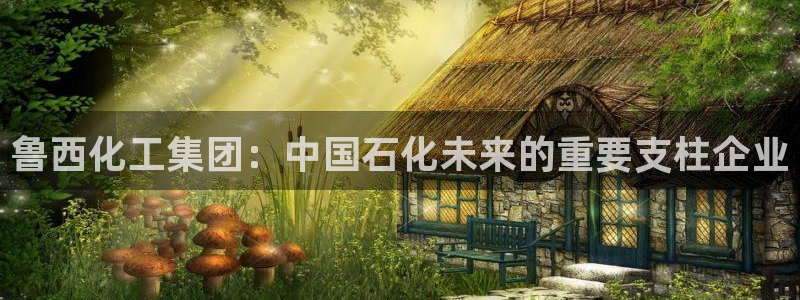 千亿球盟会乐玩：鲁西化工集团：中国石化未来的重要支柱企业