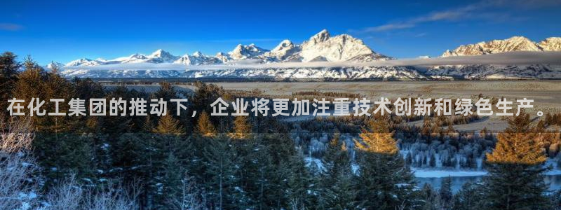球盟会平台会黑单吗：在化工集团的推动下，企业将更加注重技术创
