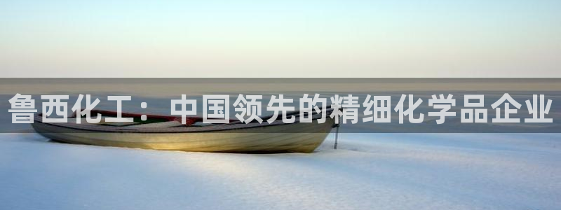 球盟会网页登录app下载地址：鲁西化工：中国领先的精细化学品