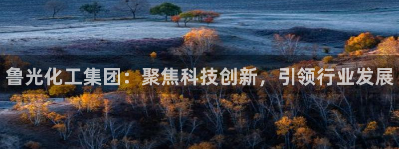 球盟会网页登录入口：鲁光化工集团：聚焦科技创新，引领行业发展
