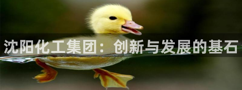 球盟会进不去吗：沈阳化工集团：创新与发展的基石