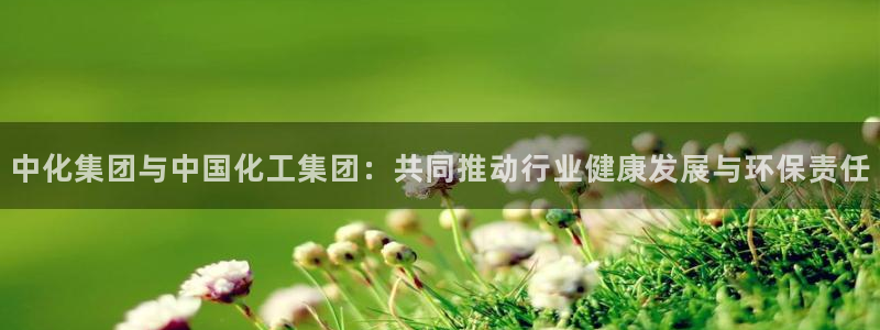 球盟会qmh：中化集团与中国化工集团：共同推动行业健康发展与