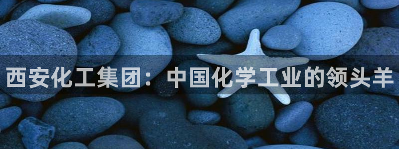 球盟会最新地址备用：西安化工集团：中国化学工业的领头羊