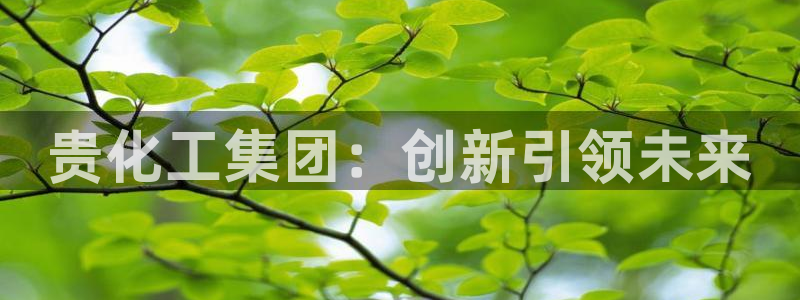 球盟会黑平台：贵化工集团：创新引领未来