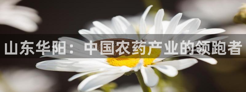 球盟会app最新地址在哪里：山东华阳：中国农药产业的领跑者