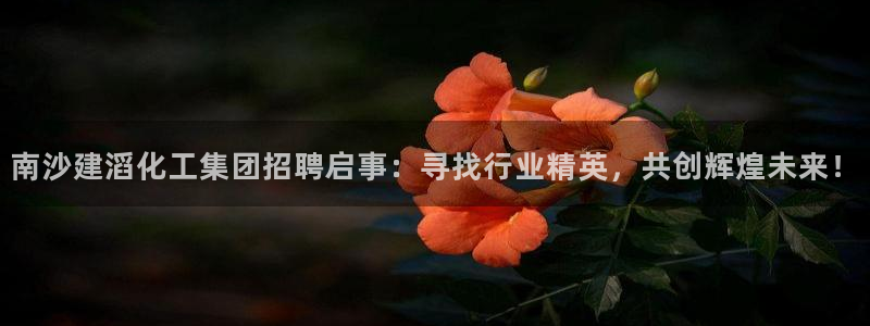 球盟会在线登入：南沙建滔化工集团招聘启事：寻找行业精英，共创