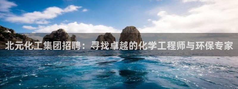 球盟会(中国)官方网站：北元化工集团招聘：寻找卓越的化学工程