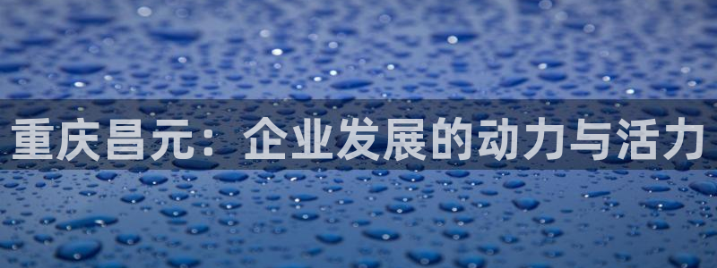 球盟会app最新地址下载安装：重庆昌元：企业发展的动力与活力