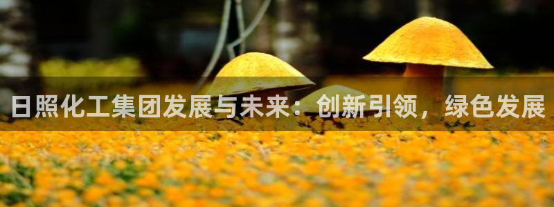 球盟会电子好下吗：日照化工集团发展与未来