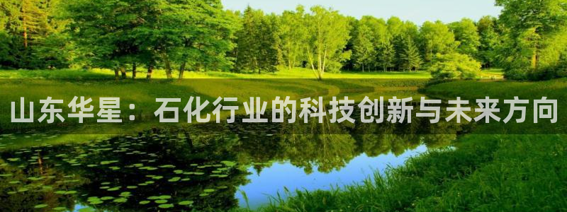 球盟会官方登录平台入口：山东华星：石化行业的科技创新与未来方