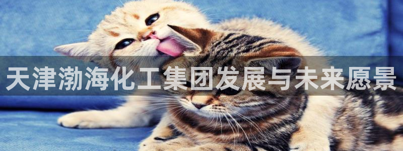 球盟会app最新地址在哪看：天津渤海化工集团发展与未来愿景