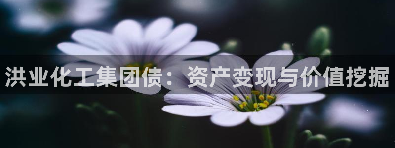 球盟会APP下载：洪业化工集团债：资产变