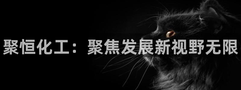 球盟会电子好黑：聚恒化工：聚焦发展新视野