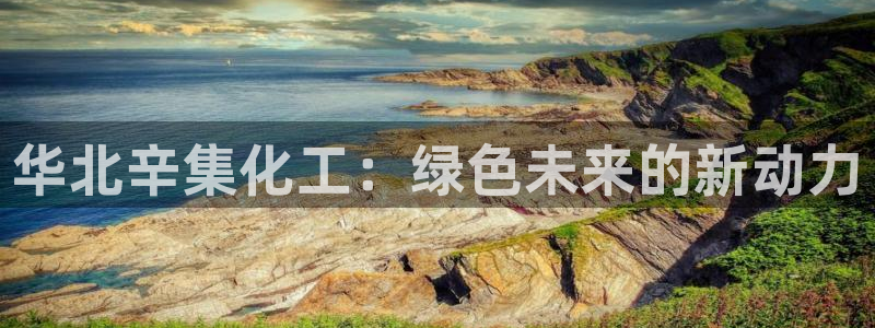 球盟会app最新地址下载安装：华北辛集化