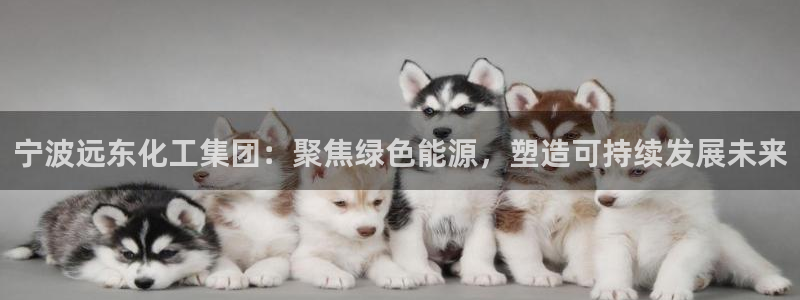球盟会优惠券：宁波远东化工集团：聚焦绿色能源，塑造可持续发展
