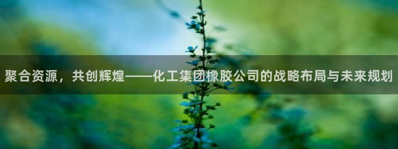 球盟会有限公司怎么样