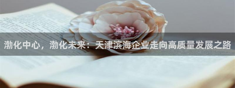 球盟会能提现吗：渤化中心，渤化未来：天津滨海企业走向高质量发