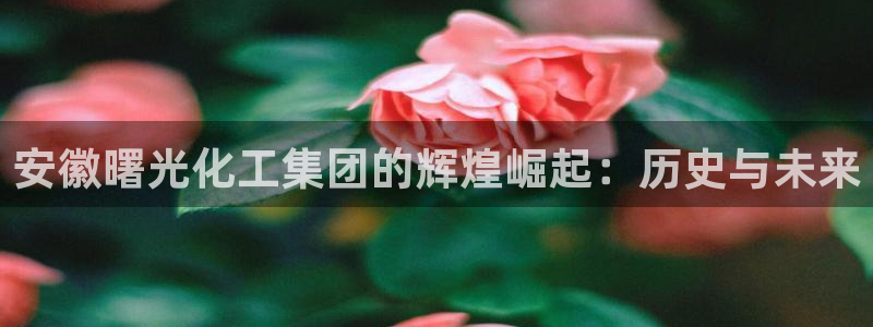 球盟会乐虎