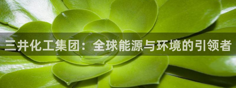 球盟会黑台子