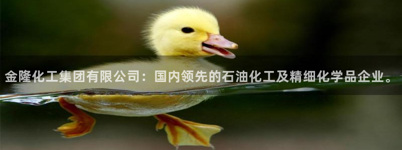 球盟会黑款吗知乎：金隆化工集团有限公司：国内领先的石油化工及