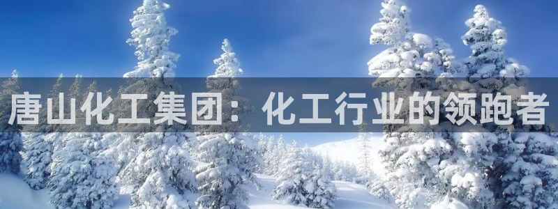 球盟会游戏几点玩合适