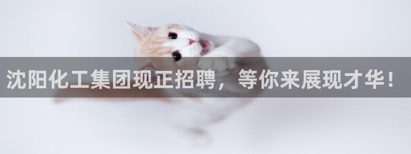 球盟会和中欧合作吗