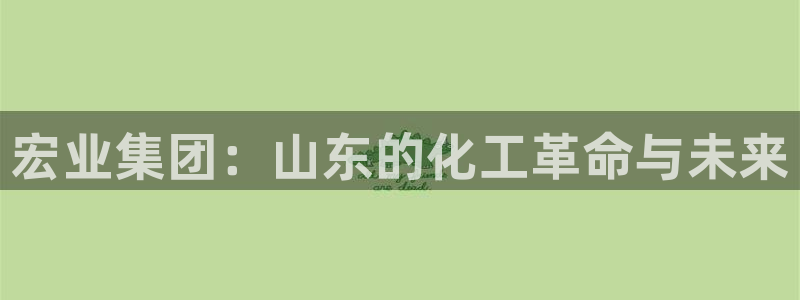 球盟会官网入口：宏业集团：山东的化工革命
