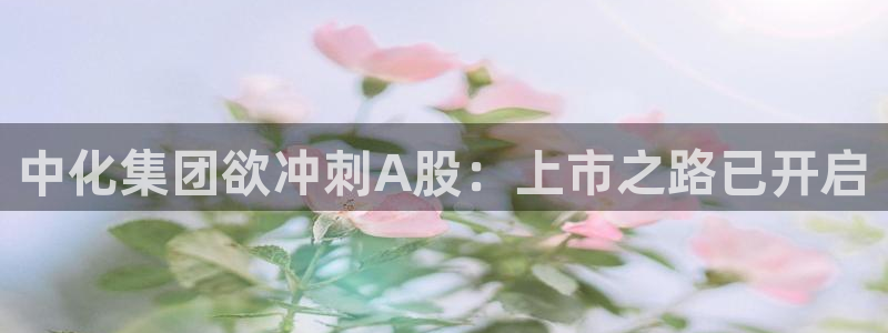 球盟会最新活动：中化集团欲冲刺A股：上市