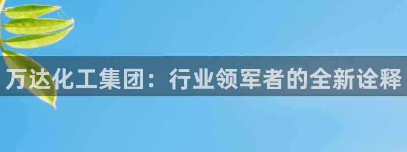 球盟会入口：万达化工集团：行业领军者的全新诠释