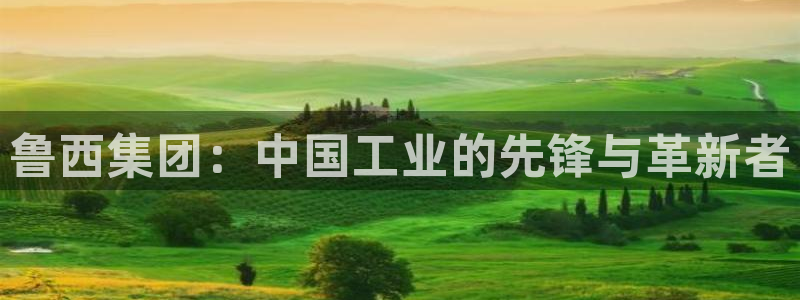 球盟会官方登录平台：鲁西集团：中国工业的