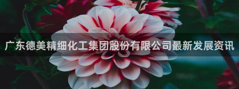 球盟会用的客服聊天是哪个软件：广东德美精