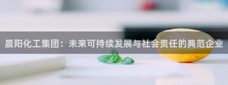 球盟会网页版：晨阳化工集团：未来可持续发