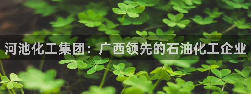 球盟会app入口：河池化工集团：广西领先