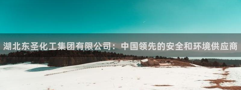 球盟会网页登录入口：湖北东圣化工集团有限