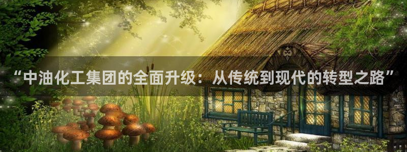 球盟会有限公司怎么样：“中油化工集团的全