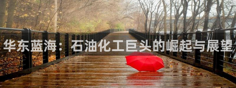 球盟会登录平台入口