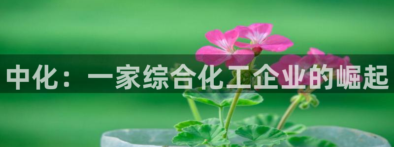 球盟会黑款吗是真的吗：中化：一家综合化工