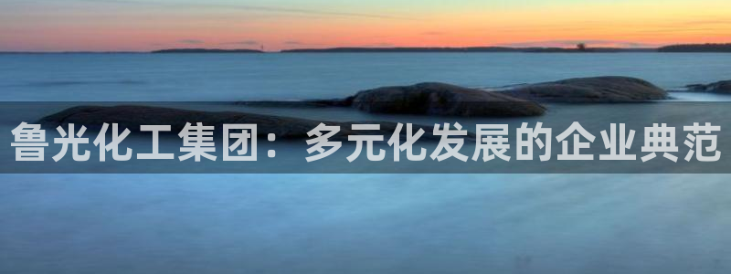 球盟会app最新地址在哪：鲁光化工集团：