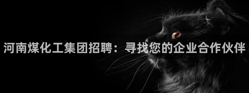球盟会平台会黑单吗：河南煤化工集团招聘：寻找您的企业合作伙伴