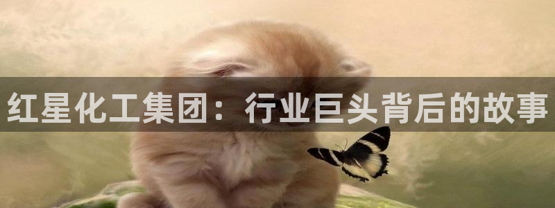 球盟会平台会黑单吗