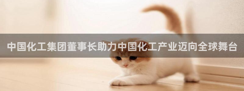 球盟会黑款吗是真的吗：中国化工集团董事长
