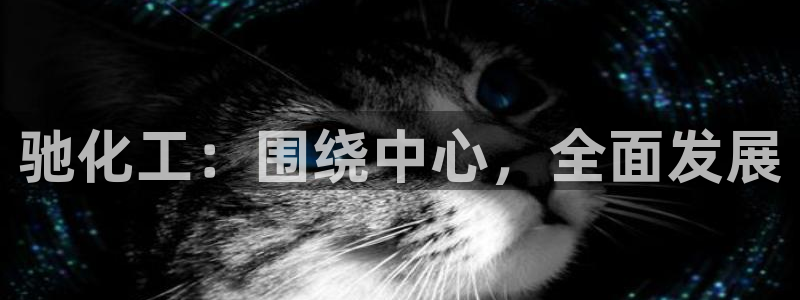 球盟会qmh网页版登录 - qm球盟会官