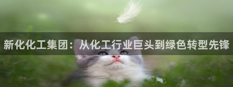 球盟会里面有打牌的嘛